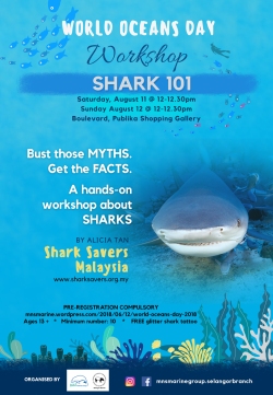 Shoutout_Workshops_Sharksavers_Shark101.jpg